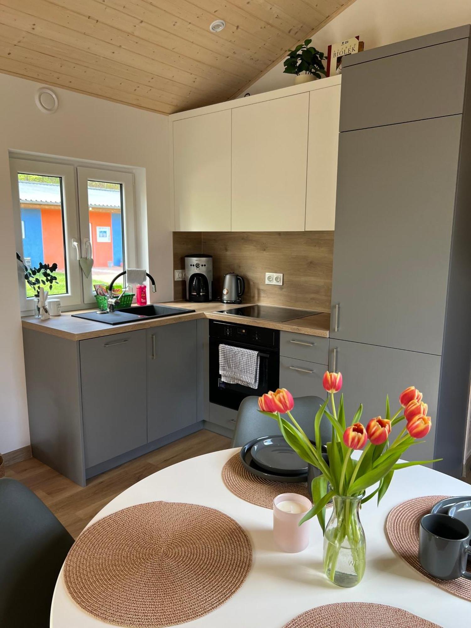 Villa Tinyhouse Frida à Stuer Extérieur photo